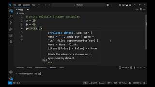 Print multiple integer variables in Python - Tiny Lessons