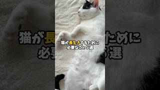 猫が長生きするために必要なこと5選 #猫 #ねこ #保護猫 #猫のいる暮らし #猫のいる生活 #雑学 #猫動画 #猫好きさんと繋がりたい #猫好き #猫との暮らし VOICEVOX:青山龍星