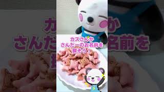 大量のコアラのマーチからお名前を見つけるまで終われません！🐨 #shorts