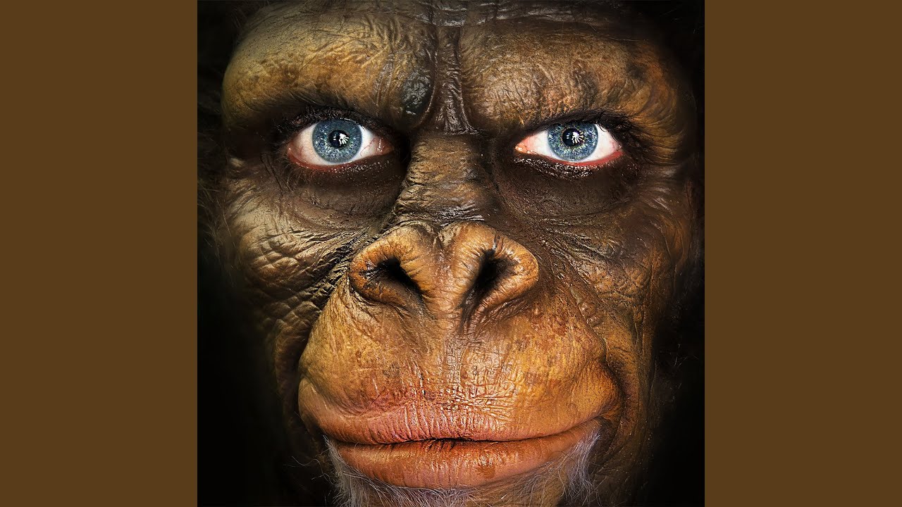 Sapiens Youtube Music