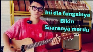 SEPUTAR PREAMP GITAR DAN FUNGSI FUNGSINYA