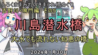 大水の時はあっさり沈む　弱くて強い橋　川島潜水橋