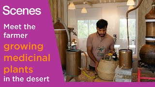 Scenes: Meet the farmer growing medicinal plants in the desert
