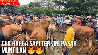 CEK HARGA SAPI TERKINI PASAR MUNTILAN🔥🔥