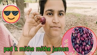 Ped K Mithe Mithe Jamun Kha K Mja Aaa Gya 😋|| Jaya Singh Vlogs