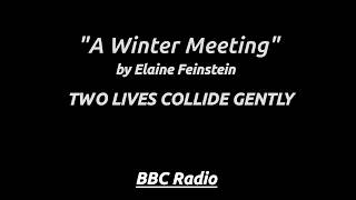 "A Winter Meeting" (1994) - A chance encounter stirs longing in two solitary winter hearts.