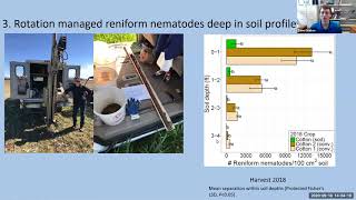 Dr. Zane Grabau: Reniform Nematode Management Using Sod-Based Rotation