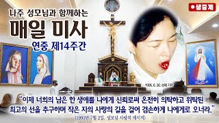 [매일미사] 2022년 7월 8일 연중 제14주간 금요일 미사