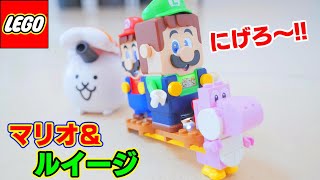 レゴ ルイージ＆マリオVSにゃんこ！！？【LEGO Mario Luigi】