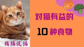 对猫有益的10种食物【对猫安全且健康的人类食物】(橘猫说猫11)