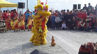 香港龍獅節2018