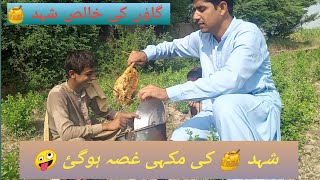 Honey Hunting IN Pakistan | Wild HONEY 🍯 HUNTERS | Gaoun  Ki Khalis Honey,🍯#dailyvlog #viral