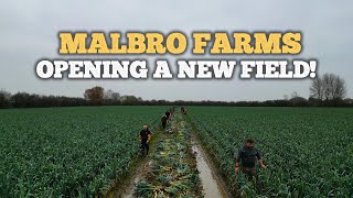 HOW WE OPEN A NEW FIELD! | MALBRO FARMS #2