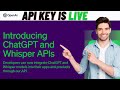 Open AI: Chat GPT API Is Live! How to use ChatGPT API KEY in Python! Tutorial