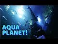 ADVENTURES IN KOREA! WE VISIT AQUA PLANET!