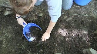 On the job with an archeologist