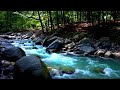 relaxing nature sounds flowing river white noise for meditation u0026 anxiety relief