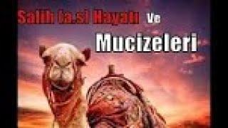 Salih Aleyhisselamın Kayadan Deve Çıkartması ve Mucizeleri