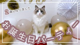 猫のお誕生日パーティー｜2歳になりました