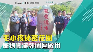 寵愛憶生｜毛孩祕密花園 寵物樹灑葬園區啟用