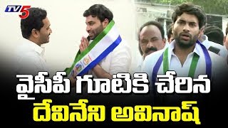 వైసీపీ గూటికి చేరిన దేవినేని అవినాష్ | Devineni Avinash Joins YSRCP | TV5 News