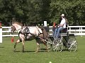 ruth hornbeak driving sid at boezeman farm darby play day 8 18 12