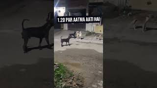 Raat कुत्तो ne dekhi aatma | real ghost seen in India | bhoot ki kahani | horror stories 2023