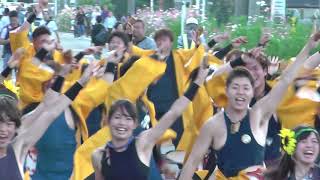 リゾンなるこ会飛鳥☆関東YOSAKOIそうなん2017 in ストリート会場