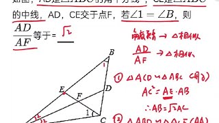 2021深圳市中考适应性考试：第15题