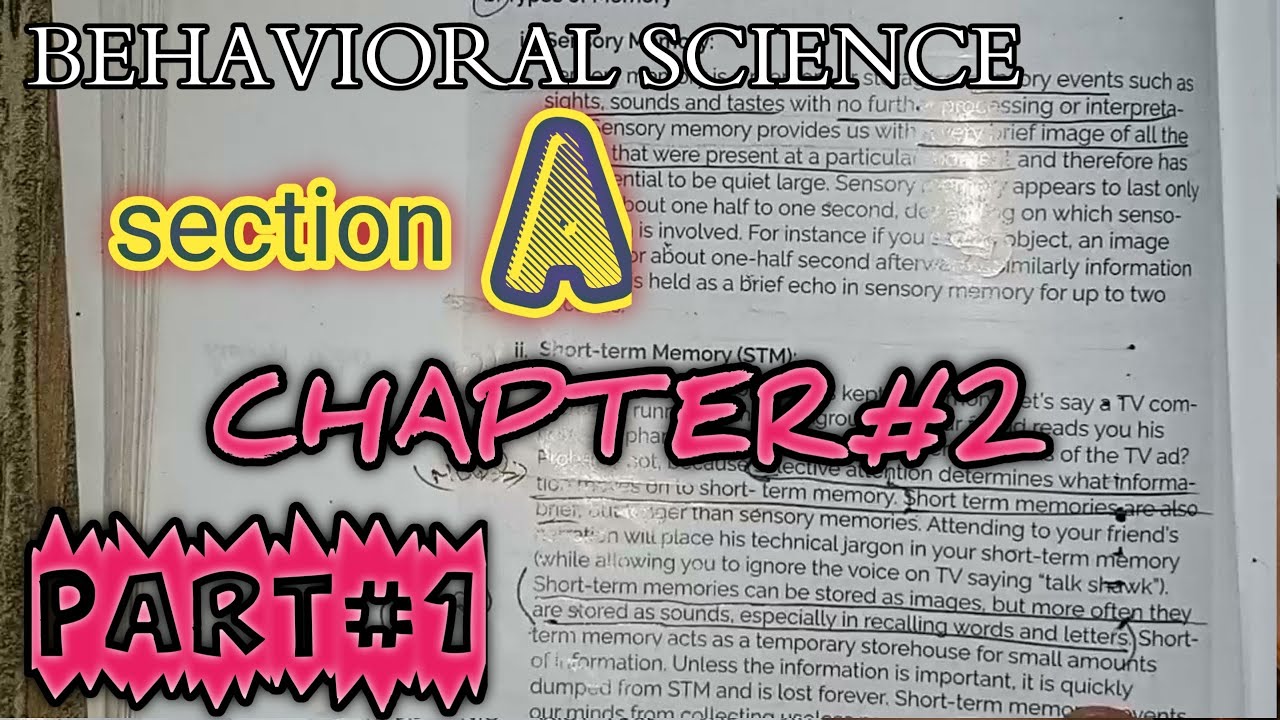 BS Section A Chapter 2 Part#1 - YouTube