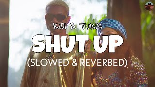 Shut Up [Slowed + Reverb] - KiDi \u0026 Tulsi Kumar | Lofi edit