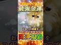 ⚠️『大金運引寄せ』福猫様が巨億の富を呼ぶ⛩️何度も見て金運倍増✨🍀#金運上昇 #金運 #お金 #開運 #運気アップ #shorts  #引寄せ #幸運の前兆