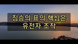 마지막 때의 네피림, 충격적인 설교메시지를 듣고