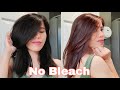 DIY | Remove Permanent Hair dye without Bleach | No Damage!