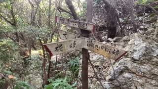 日帰り登山　狼煙山#1登頂　愛知県田原市渥美半島