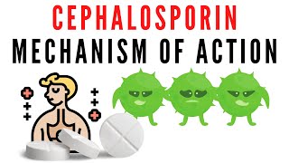 Cephalosporin explained | classification, mechanism of action