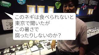 【宝石展】名古屋市科学館で開幕！特別展「宝石　地球がうみだすキセキ」はネギトルマリンをはじめ東京展と99％同じ出展内容の豪華版