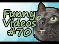 🔥FUNNY VIDEO COMPILATION COUB #70 | SPICY MEME HOUSE🔥