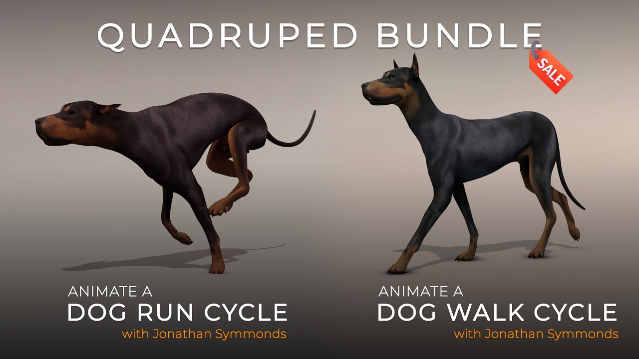 Quadruped Walk Cycle Tutorial Animation Tutorial 10 Walk And Run Cycle