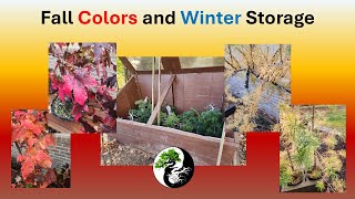 Fall colors and winter storage