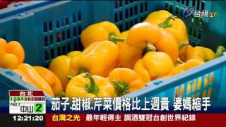 農糧署稱菜價回穩民眾無感改買豆芽菜