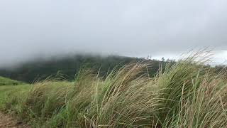 Uluppuni - Vagamon