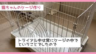 トライアル開始まであと４日！猫のケージが届きました！