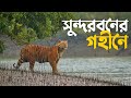 সুন্দরবনের গহীনে যাওয়ার গল্প 🇧🇩 World Largest Mangrove Forest | Dhaka to Sundarban | Full Episode