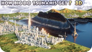 TSUNAMI Height Comparison (3D)