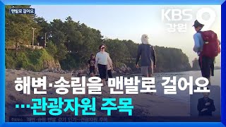 해변·송림을 맨발로 걸어요…관광자원 주목 / KBS  2024.06.20.