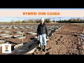 Hybrid OSR cages