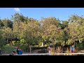 October 21st 2024 Flying with drone in Parque de la Paloma, Benalmadena, Spain