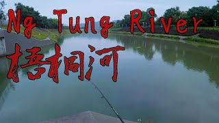 [HK Fishing] Lures Fishing in Ng Tung River 梧桐河 假餌 路亞