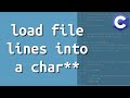 Load file lines into an array of strings { C Programming }